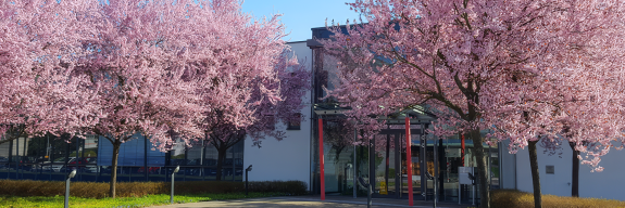 OSYPKA AG Rheinfelden