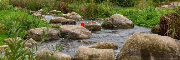 Effizientes Workflowmanagement mit resin