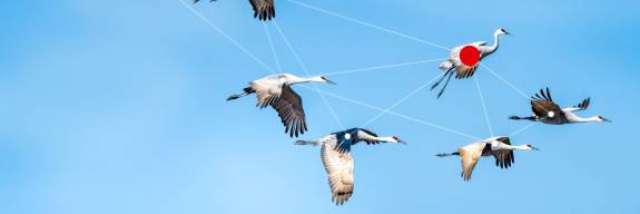 Jetzt unseren Newsletter abonnieren